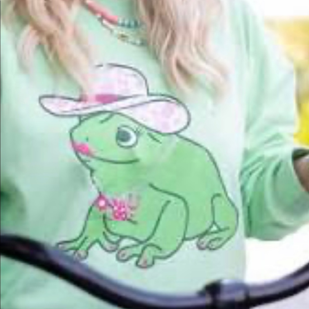 Brand new Living Fully Co by Mallory Ervin Finer than a Frogs Hair Sweatshirt